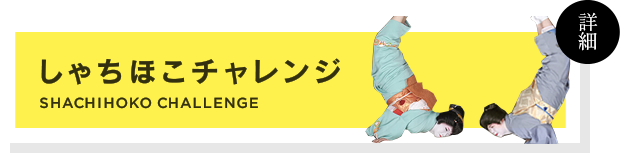 しゃちほこチャレンジ