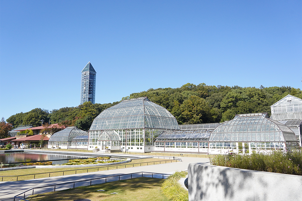 8年ぶりに公開された名古屋市東山植物園温室前館 東洋一の水晶宮 はいかに復原されたのか Yattokame Life丨やっとかめライフ
